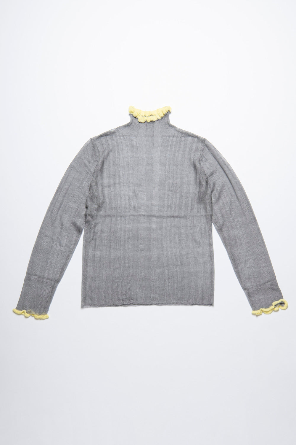 Sheer Layer Turtleneck Top