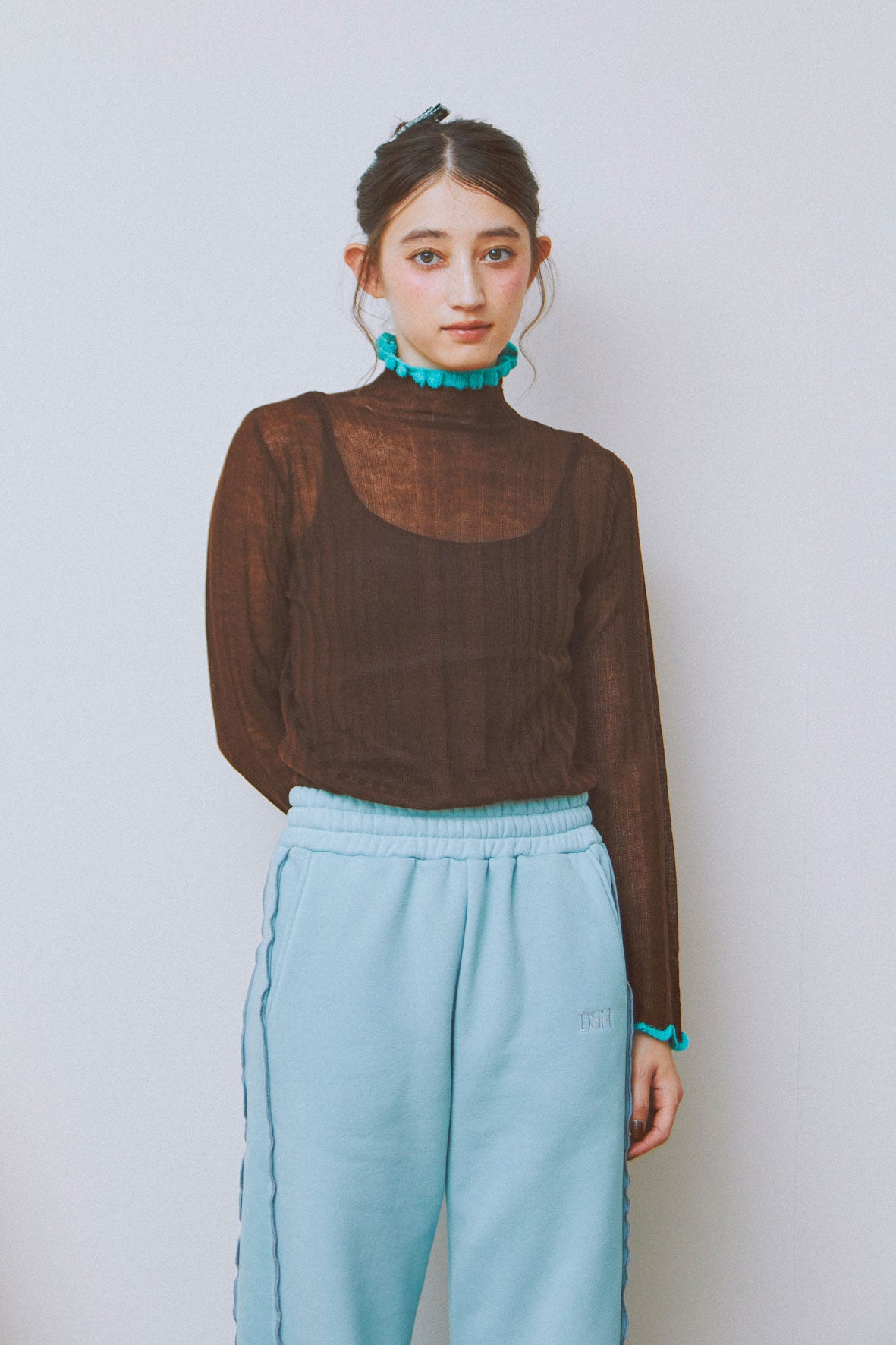 Sheer Layer Turtleneck Top