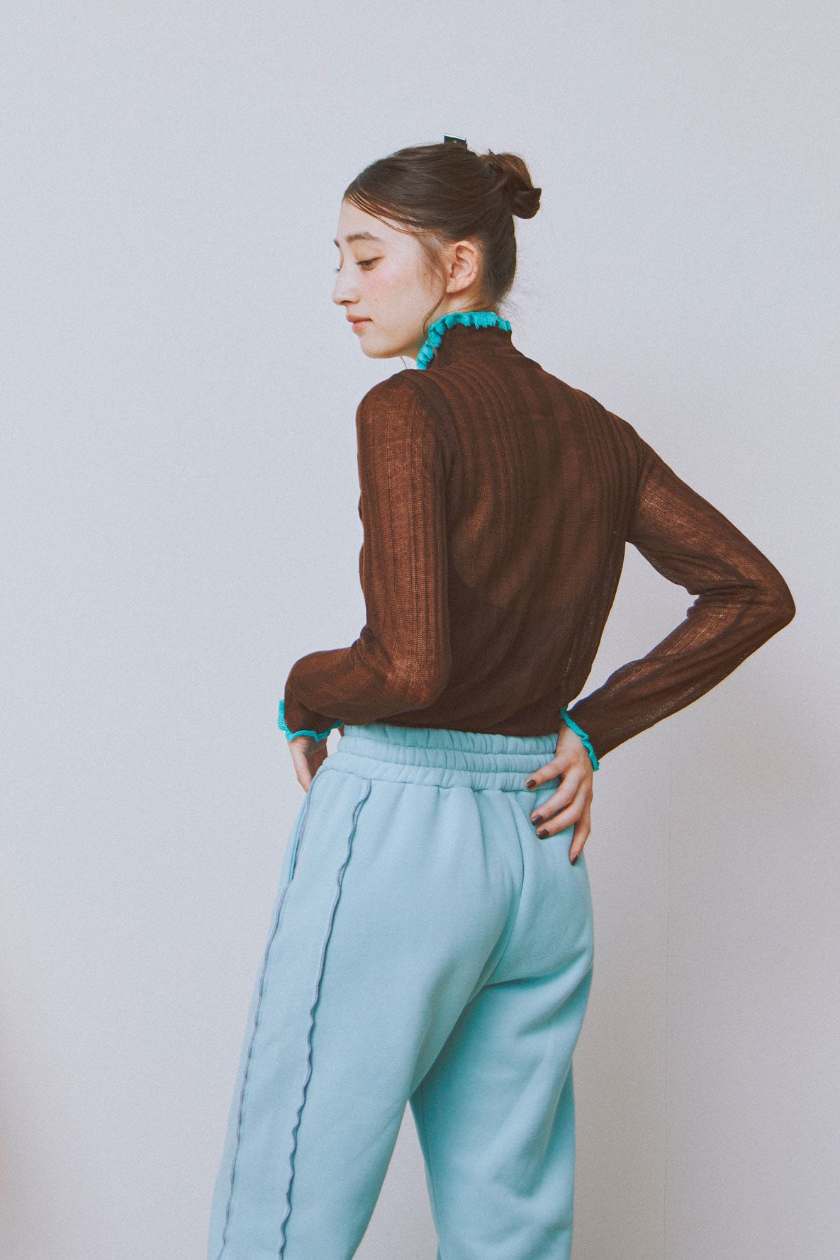 Sheer Layer Turtleneck Top