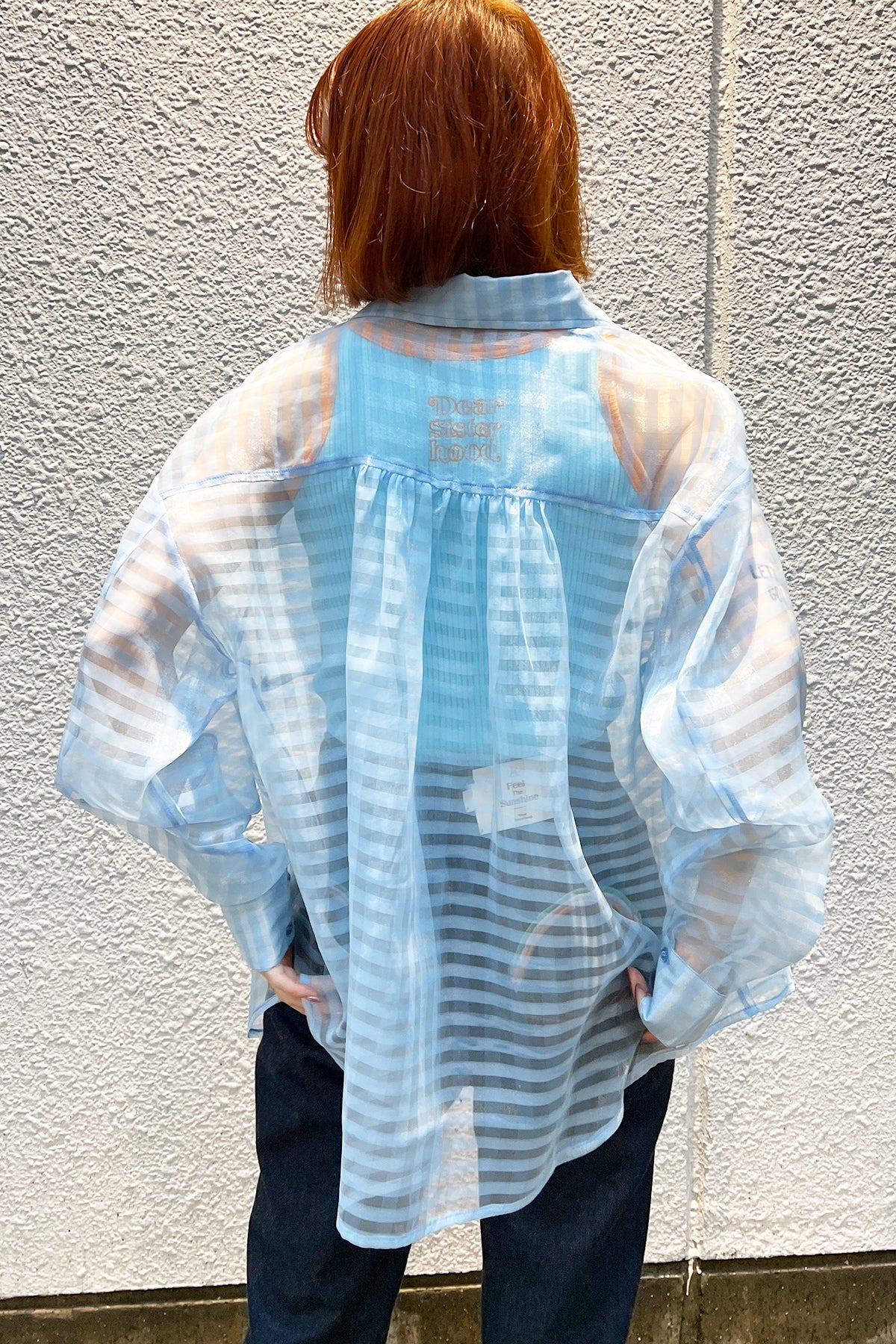 Stripe Sheer Long Sleeve Shirt / Blue