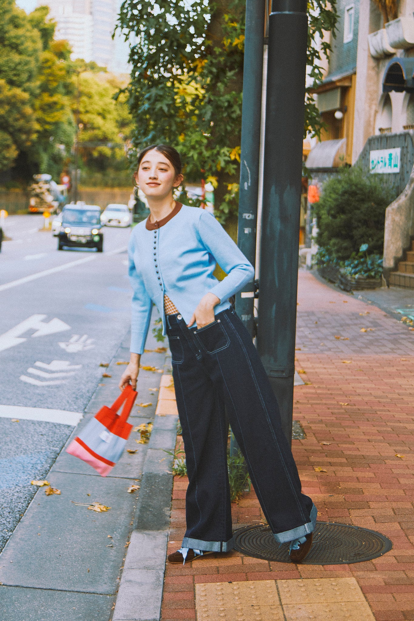 Stardust Denim Pants