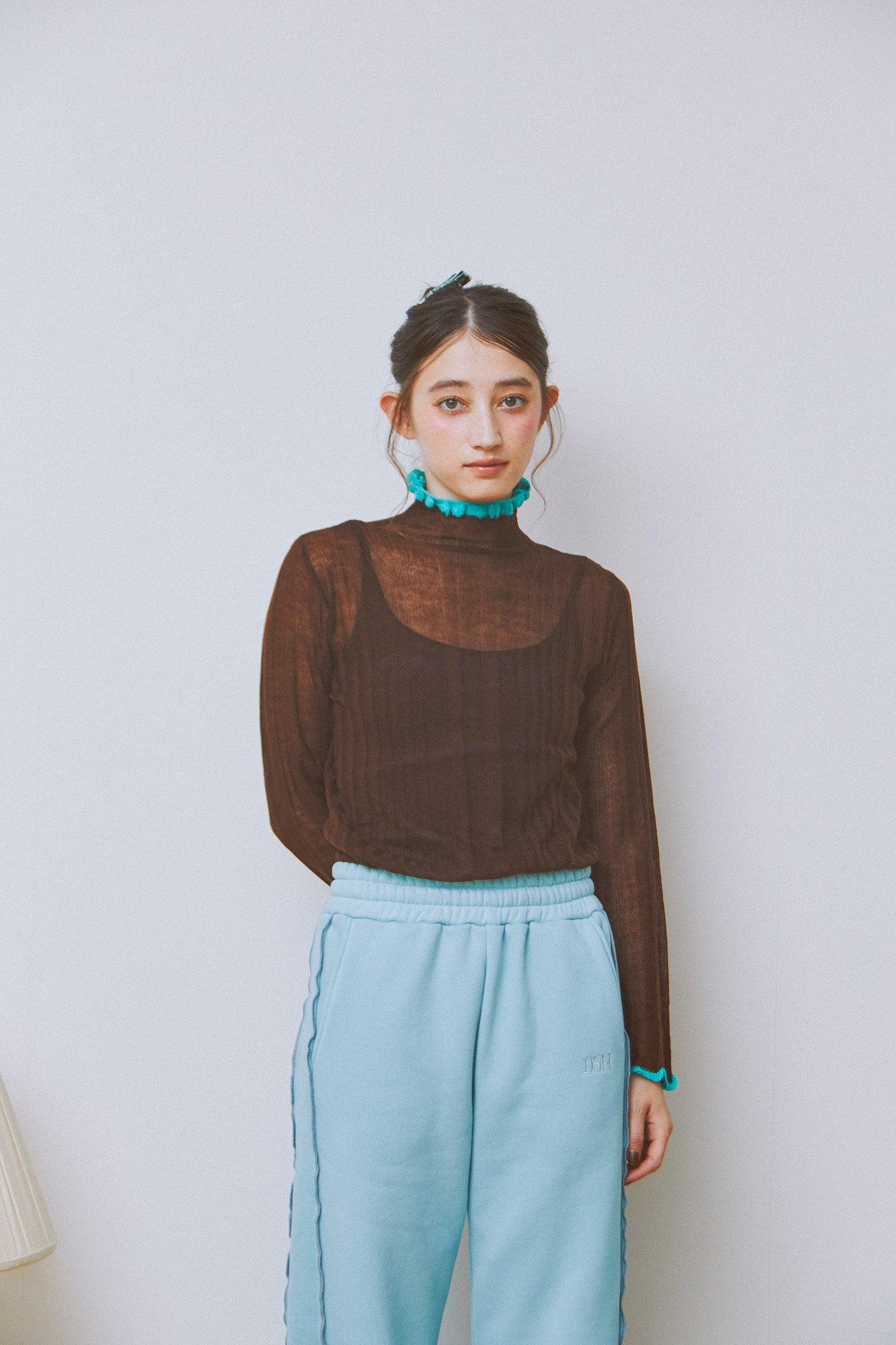 Sheer Layer Turtleneck Top