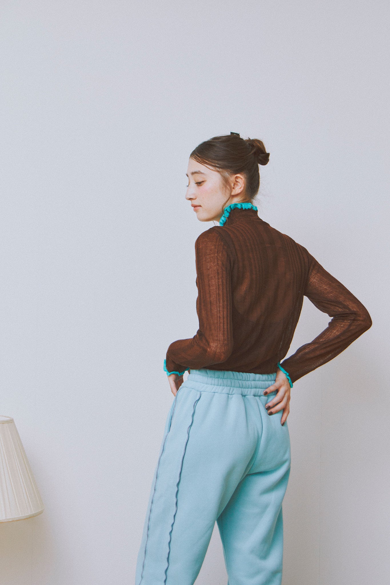 Sheer Layer Turtleneck Top