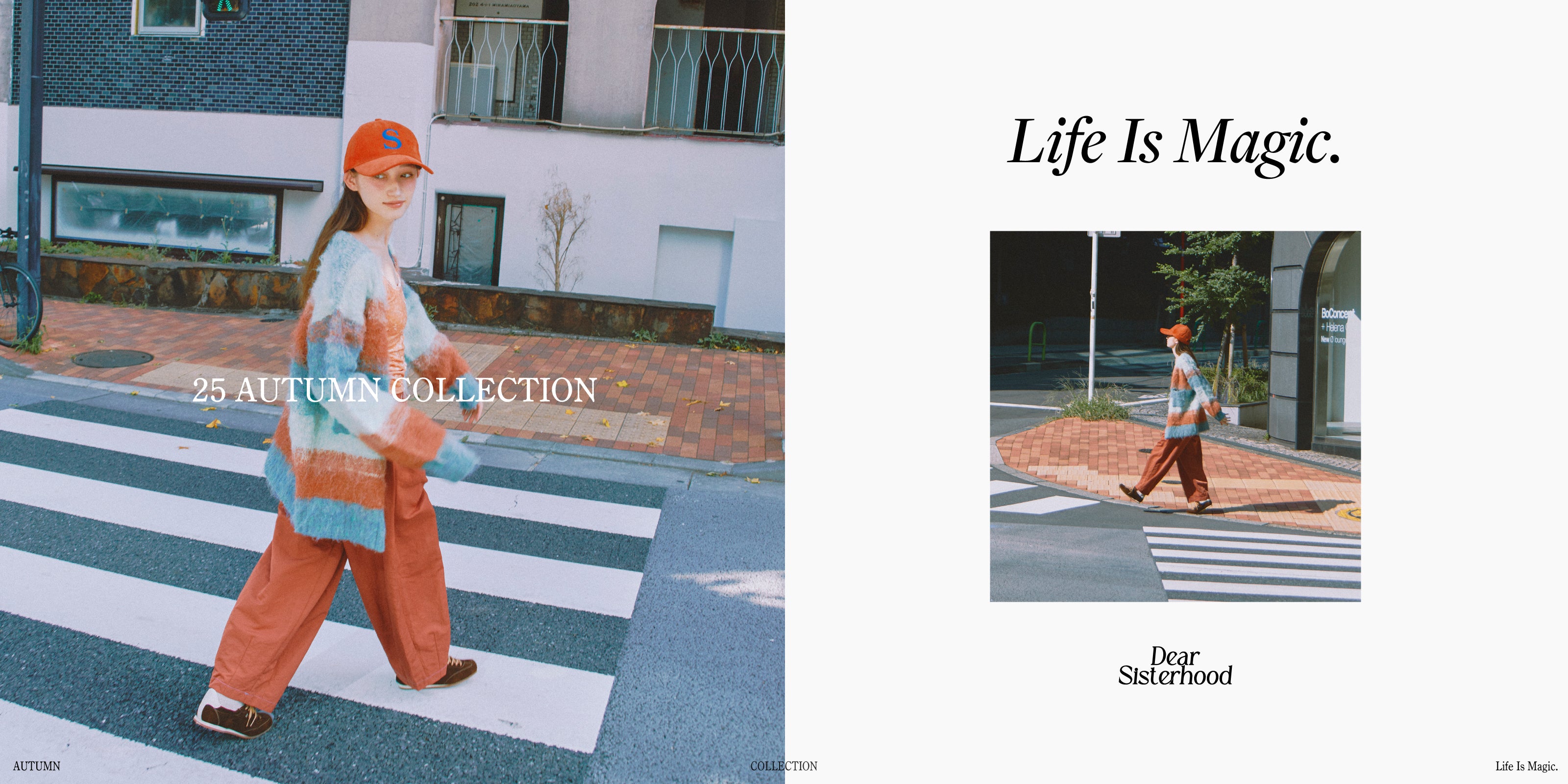 Dear Sisterhood (ディア シスターフッド)| 瀬戸あゆみディレクション